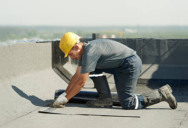 Best Commercial Insulation in Victoria, MS