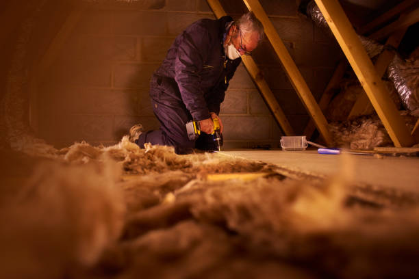 Best Specialized Insulation Services in Victoria, MS